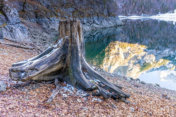 Gosausee lake in Austria Alps mountains. Austria alpine landscape in late autumn near Dachstein mountain range