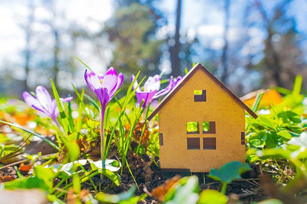 istock Miniature Wooden House Surrounded by Blooming Crocuses in a Sunny Setting 2213034881