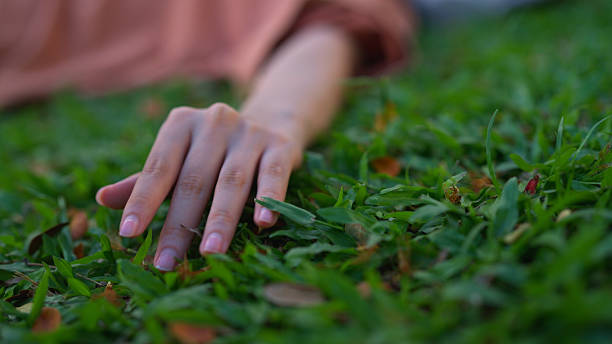 istock Woman Hands touching the grass. 2213034936