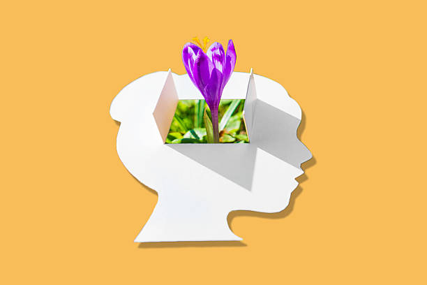 istock Innovative Ideas Blooming From The Mind With Crocus Flower on Yellow Background 2213034945