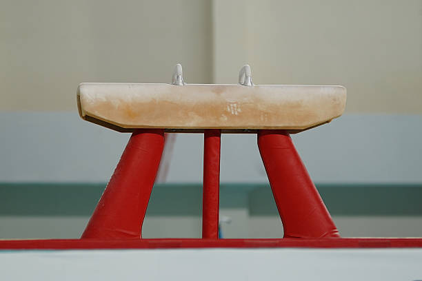Pommel horse in Artistic Gymnastics Apparatus field