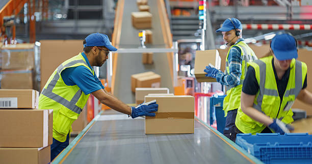 istock Workers in High-Visibility Vests Redirect Packages Along a System of Conveyor Belts in a Distribution Hub. Male and Female Working in Large-Scale Retail E-Commerce Operation or Logistics Service 2213037662
