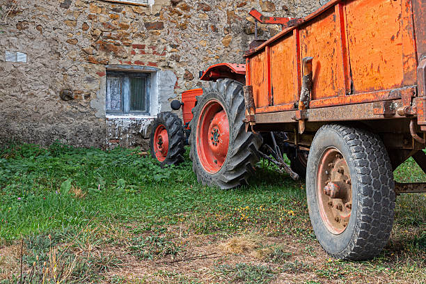 A harvest from a field , farmer collecting sugar beet in a tractor