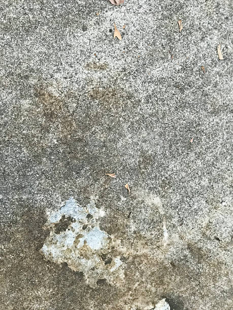 istock Old cement wall texture background. Floor surface with cracks and scratches. 2213048336