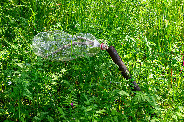 An old plastic bottle thrown in nature