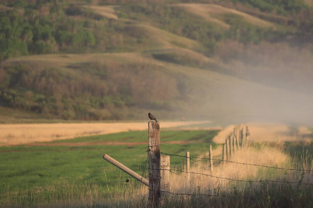 istock Summer Scenes in the Flooded Valley 2213052720
