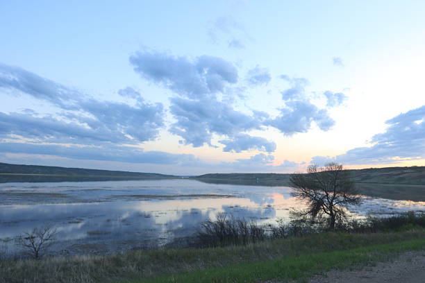 The river overflows, and the ducks hang out in the flooded hay field.