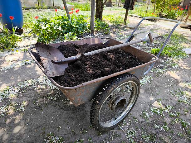 Wheelbarrow in the garden