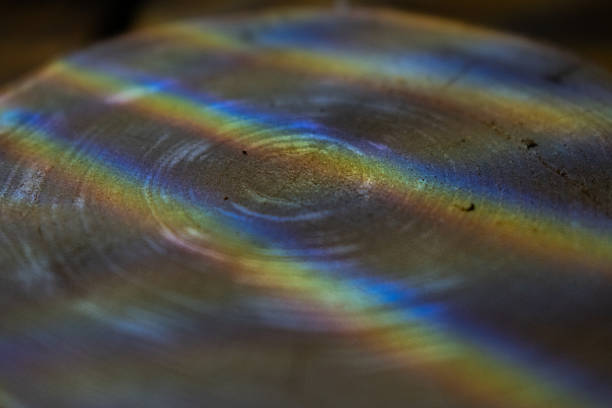 istock wood texture brown with spectrum highlights from lamp 2213057470