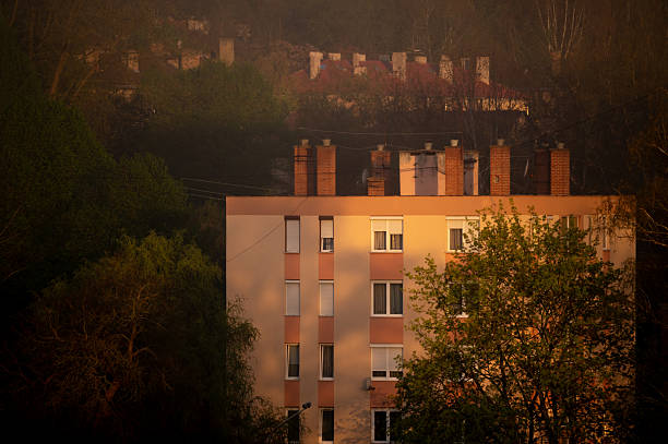A pastel-colored apartment block with prominent chimneys stands amidst dense, shadowy trees, illuminated by the warm, low-angle light of sunset. The surrounding foliage and distant rooftops create a layered, tranquil atmosphere that blends urban housing with natural scenery.