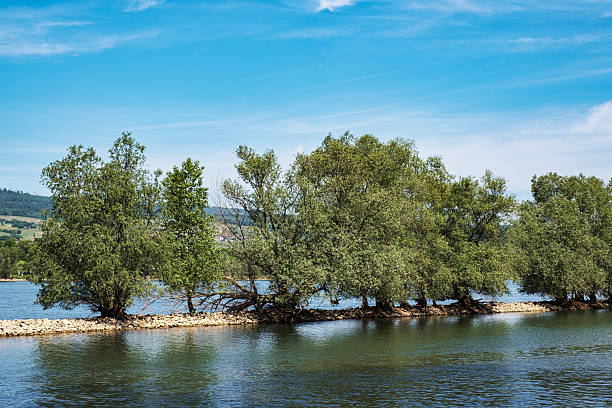 View of the Rhine with small islands during a hike through the Ingelheimer Aue