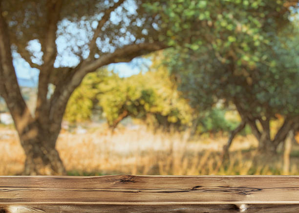 istock Empty walnut wooden slab at the foreground and blurred old olive tree at the background. 2213059102