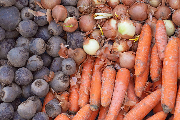 Fresh root vegetables arrangement: beets, onions, and carrots. Harvest.