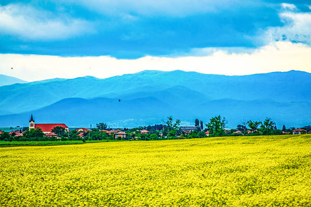 ripe rapeseed field near catholic village,Vast agriculture fertile field and dark stormy skies above Thracian valley under rany clouds ,Balkan mountains in the distance,Plovdiv region,Central Bulgaria