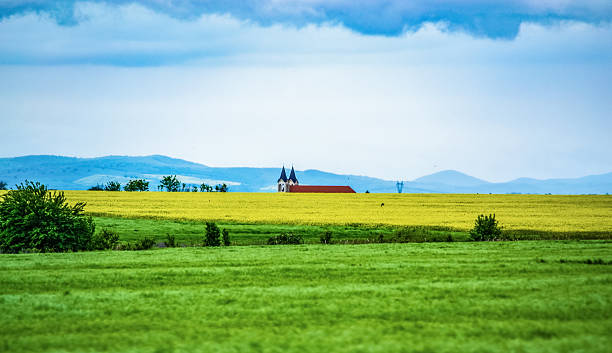 istock Panoramic view ripe rapeseed field at spring Bulgaria 2213063917