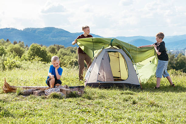 istock Three brothers have picnic. Boy roasting sausages on sticks over campfire flame while two brothers set up the green tent. Happy family outdoor picnic camping activities concept 2213072930