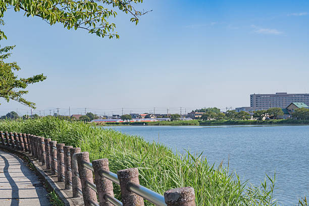 istock Isanuma swamp in Saitama, Japan 2213074149