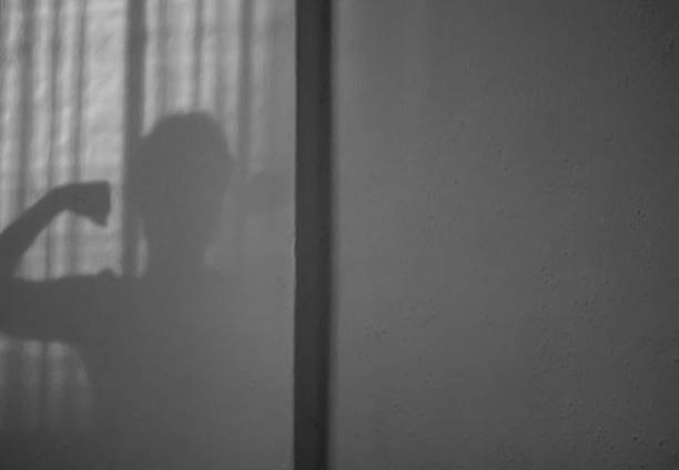 istock Silhouette and Stripes: Light and Form 2213078627