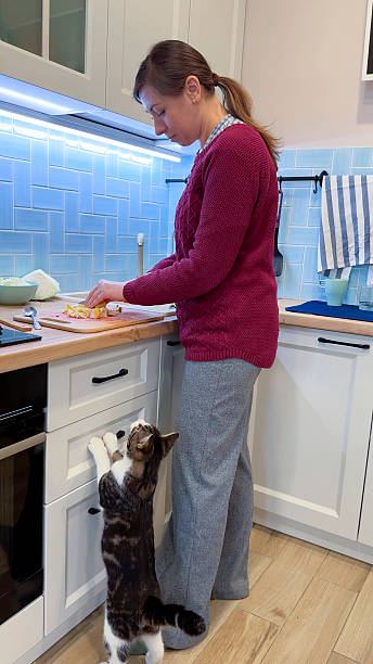 istock The cat begs for meat, which the hostess cuts for borscht. Vertical footage. 2213079941