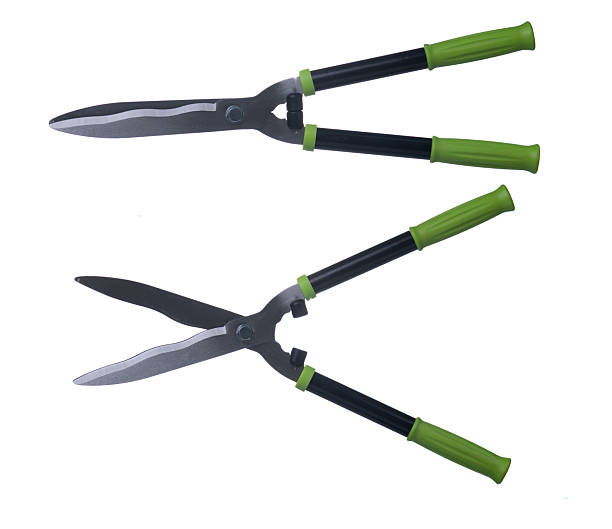 istock Gardening Scissors Isolated on White Background. Tool for Trimming Bushes and Trees 2213082902