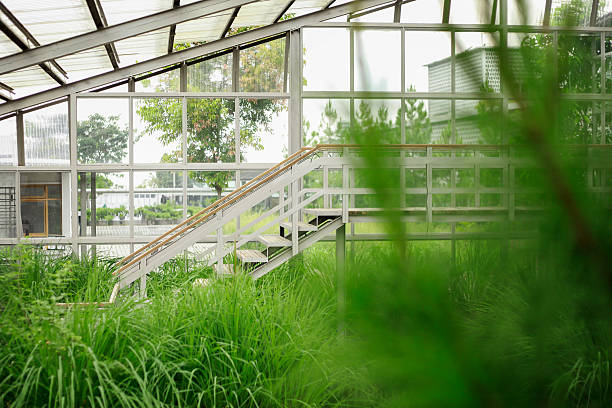 istock Modern Greenhouse Interior with Natural Light and Vast Greenery Around 2213084365