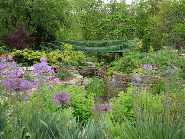 istock Cloudy Spring Day at Overland Park Arboretum 2213089198