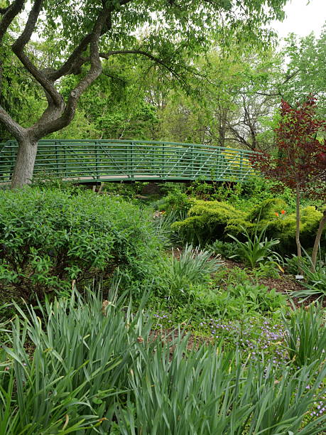 istock Cloudy Spring Day at Overland Park Arboretum 2213089206