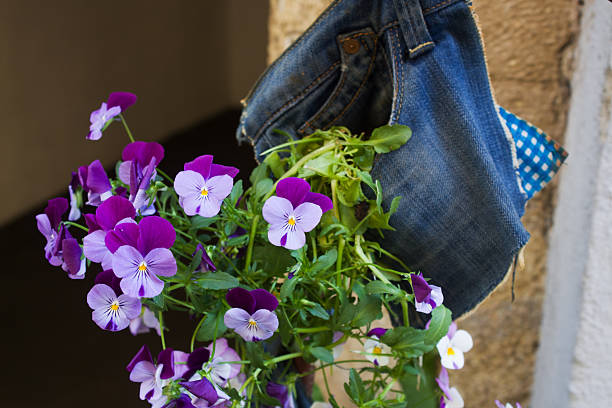 Invisible man with a pair of blue denim jeans viewed from the back, with a red flower tucked into the back pocket, against plain white background.