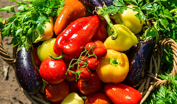 istock Harvest different vegetables in the garden. Selective focus. 2213099779