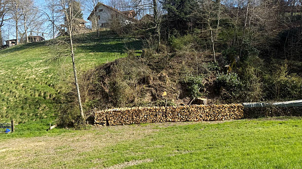 Rural hillside with stacked firewood and forest background under clear sky. Spring countryside landscape with grass, trees, and house. Ideal for ecological or rustic-themed backgrounds.