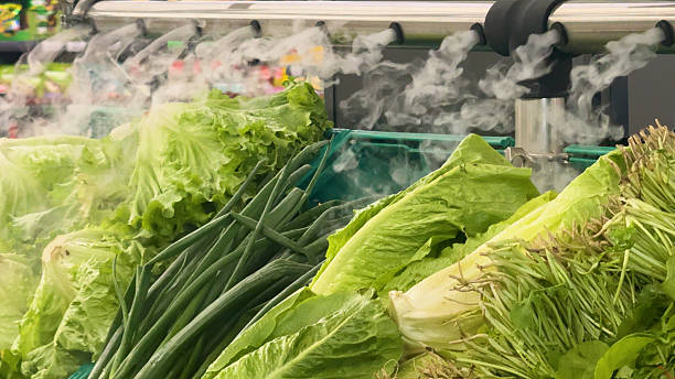 Fresh Green Herbs and Vegetables Revitalized by Cooling Steam in a Modern Supermarket – Basil, Tarragon, and Leafy Greens Preserved with Moisture Spray for Maximum Freshness and Visual Appeal