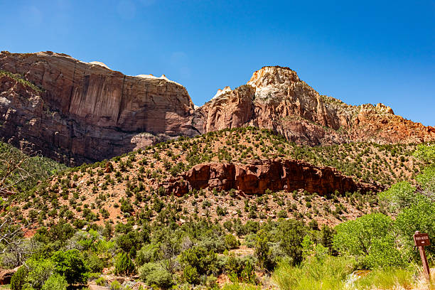 Zion National Park view, Utah, USA.