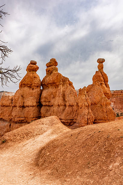 Bryce Canyon national park, Utah, USA.