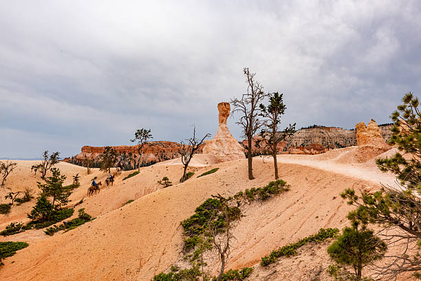 Bryce Canyon national park, Utah, USA.