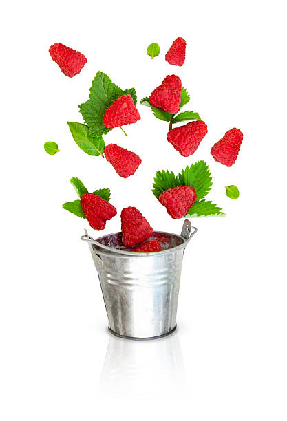 Various raspberries on the table. Raspberry fruits are edible, which have both sweet and sour tastes. They are also high in vitamin C and are beneficial to the body.