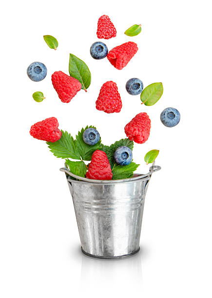 Fresh Raspberries and Leaves Bursting from Metal Bucket Isolated on White