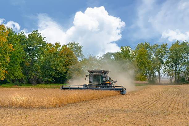 istock Soy Bean Harvest-Howard County, Indiana 2213109783