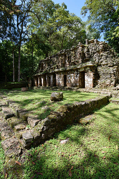istock Structure 19 ('El Laberinto'), Mayan Temple at Yaxchilan Archaeological Site, Chiapas, Mexico

Structure 19 ('El Laberinto'), Mayan Temple at Yaxchilan Archaeological Site, Chiapas, Mexico 2213111363