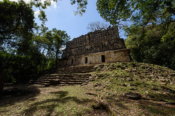 wide shot of Palenque archaeological site on a misty morning