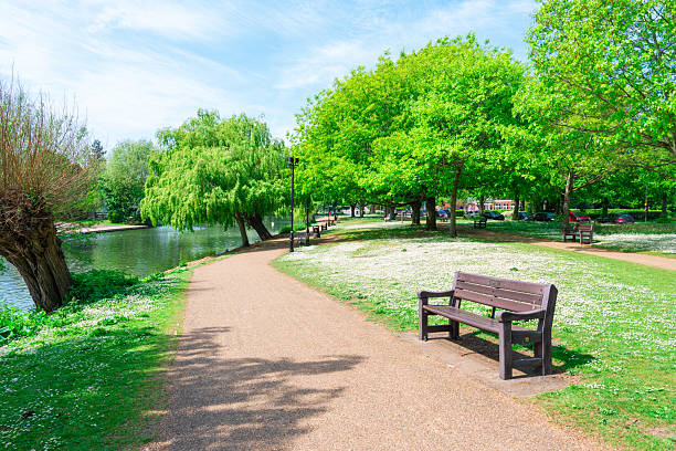 istock Scenic footpath winding through a vibrant green park 2213113510