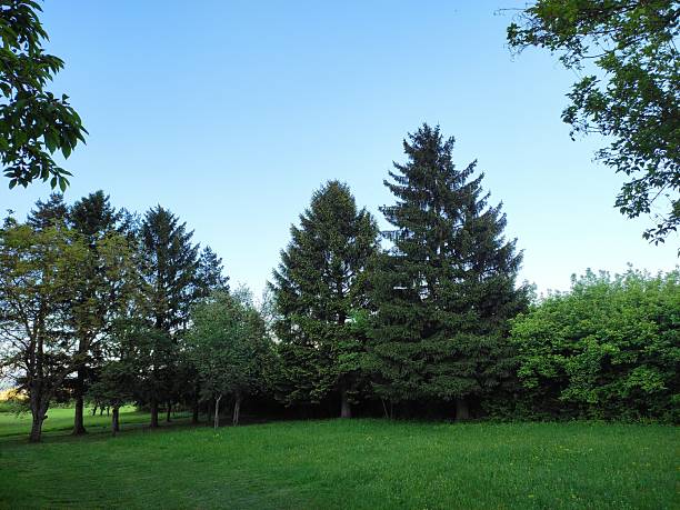 istock The colours of nature. 2213115329