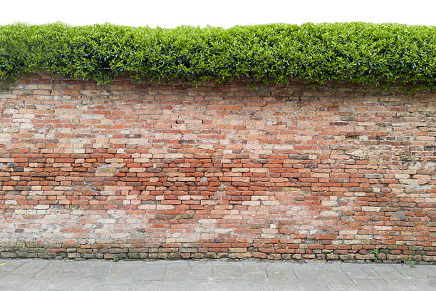 Red brick wall textured background