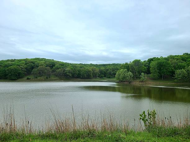 istock Large Lake in Forest during Overcast, just before the Rain 2213120582