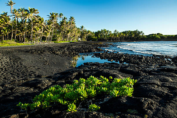 Punaluu Black Sand Beach Early Morning