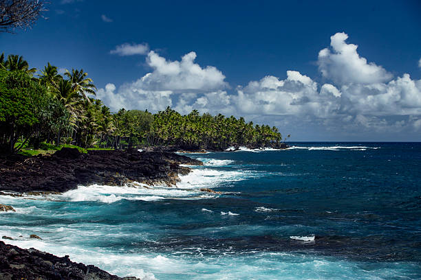 istock Big Island, Hawaii, Eastern Coast, Looking North 1 2213126942