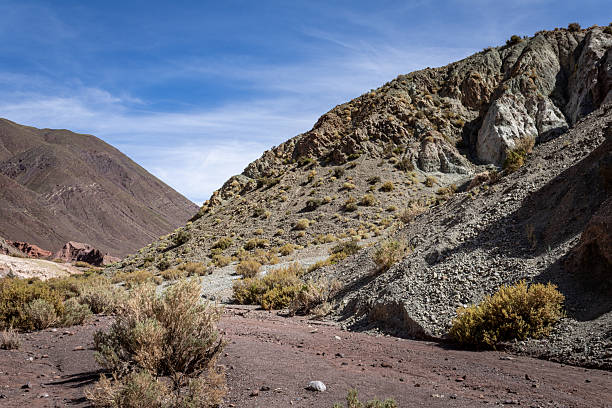 istock Green Mineral Layers on Hillside – Rainbow Valley, Chile 2213127555