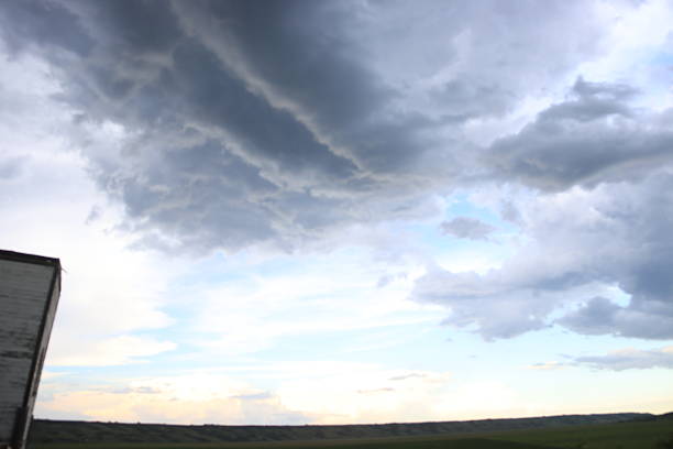 Lilac blossoms, summer storms and lightning from my area.