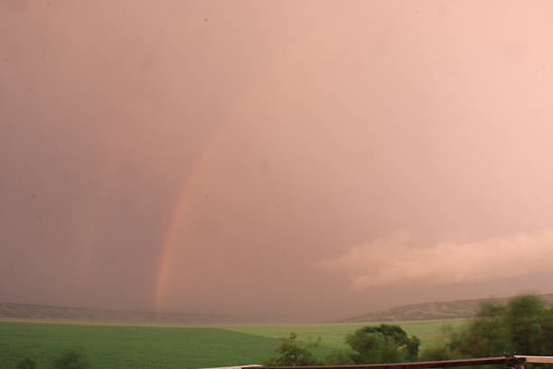 Lilac blossoms, summer storms and lightning from my area.