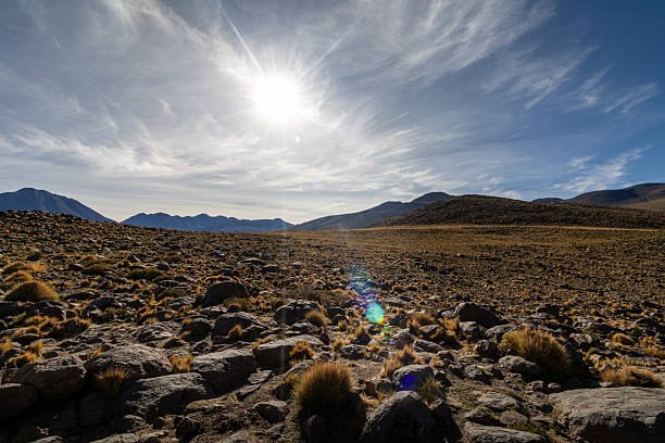 Mineral salts form bright patches near the reddish formations of Piedras Rojas under strong morning sun in the Atacama.
