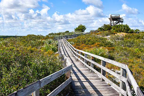 istock Boardwalk leading up to an observation tower at Jonathan Dickinson State Park in Martin County, Florida. 2213135392